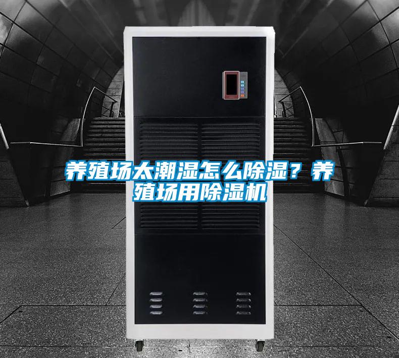 養殖場太潮濕怎么除濕？養殖場用除濕機