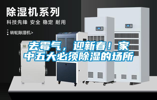去霉氣，迎新春！家中五大必須除濕的場所