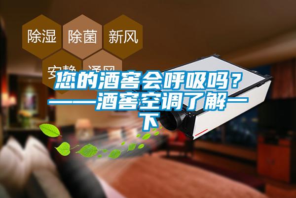 您的酒窖會呼吸嗎？——酒窖空調了解一下
