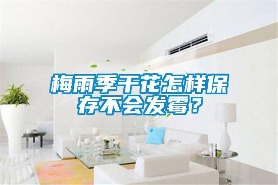 梅雨季干花怎樣保存不會(huì)發(fā)霉？