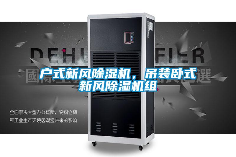 戶式新風(fēng)除濕機，吊裝臥式新風(fēng)除濕機組