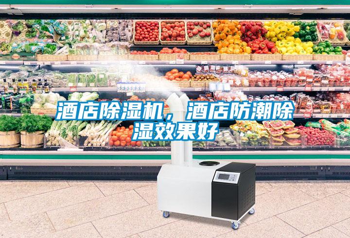 酒店除濕機，酒店防潮除濕效果好
