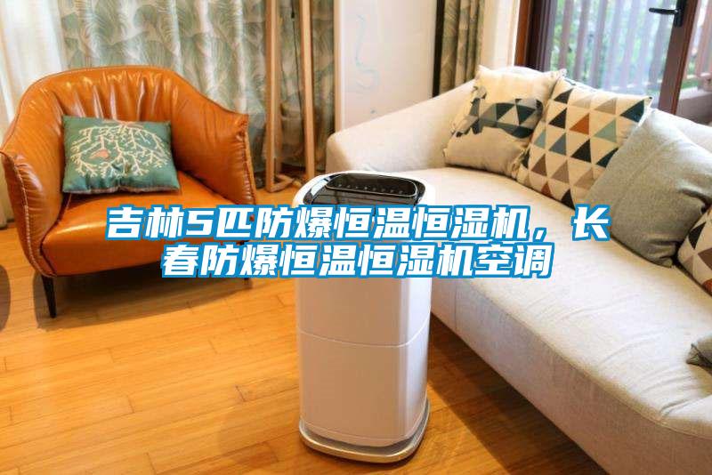 吉林5匹防爆恒溫恒濕機，長春防爆恒溫恒濕機空調