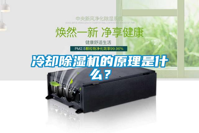 冷卻除濕機(jī)的原理是什么？