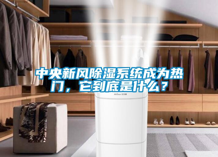 中央新風除濕系統成為熱門，它到底是什么？