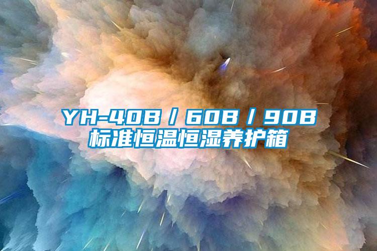 YH-40B／60B／90B標準恒溫恒濕養護箱