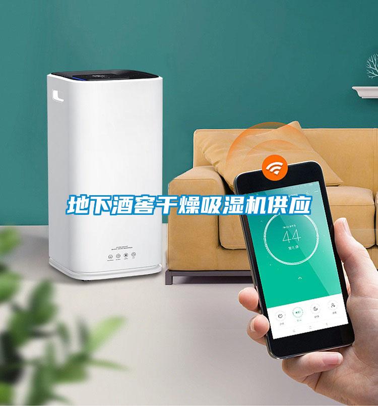 地下酒窖干燥吸濕機供應(yīng)