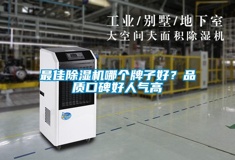 最佳除濕機哪個牌子好？品質口碑好人氣高