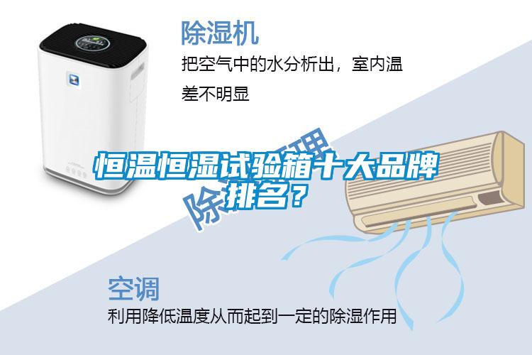 恒溫恒濕試驗(yàn)箱十大品牌排名？
