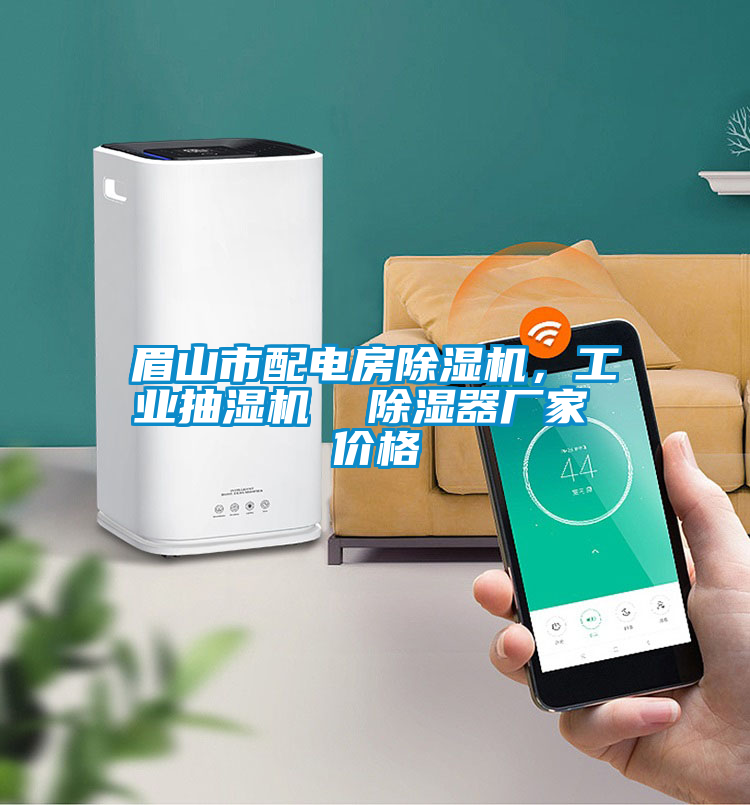 眉山市配電房除濕機，工業(yè)抽濕機  除濕器廠家 價格