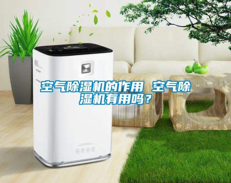 空氣除濕機(jī)的作用 空氣除濕機(jī)有用嗎？