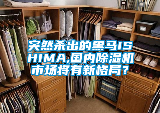 突然殺出的黑馬ISHIMA,國內(nèi)除濕機市場將有新格局？