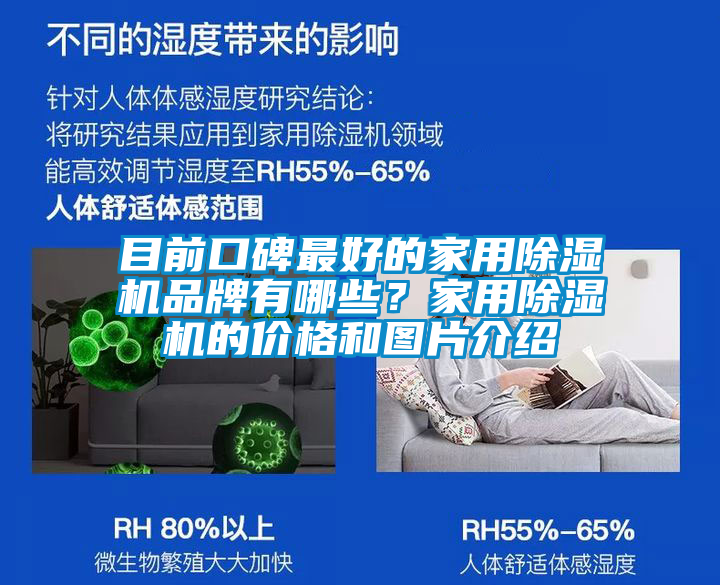 目前口碑最好的家用除濕機品牌有哪些？家用除濕機的價格和圖片介紹