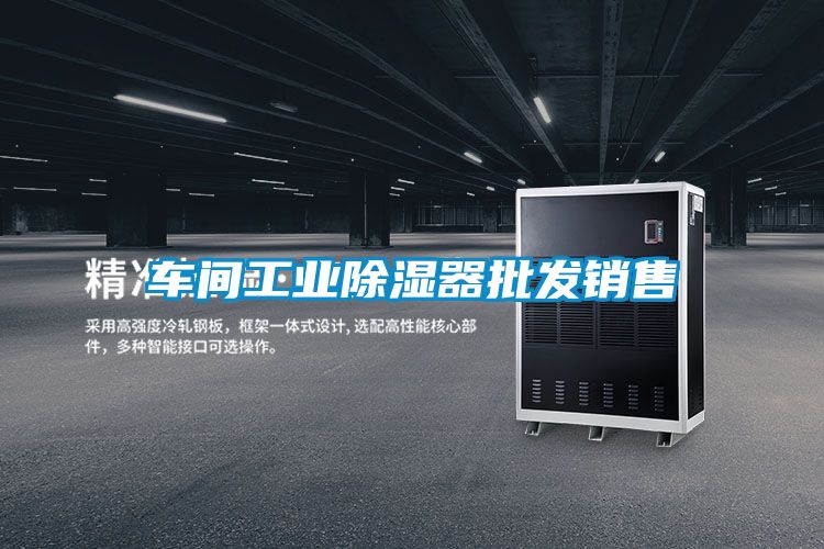 車(chē)間工業(yè)除濕器批發(fā)銷(xiāo)售