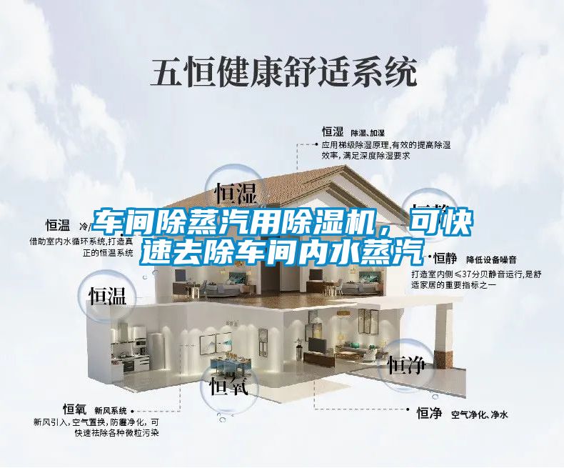 車間除蒸汽用除濕機(jī)，可快速去除車間內(nèi)水蒸汽