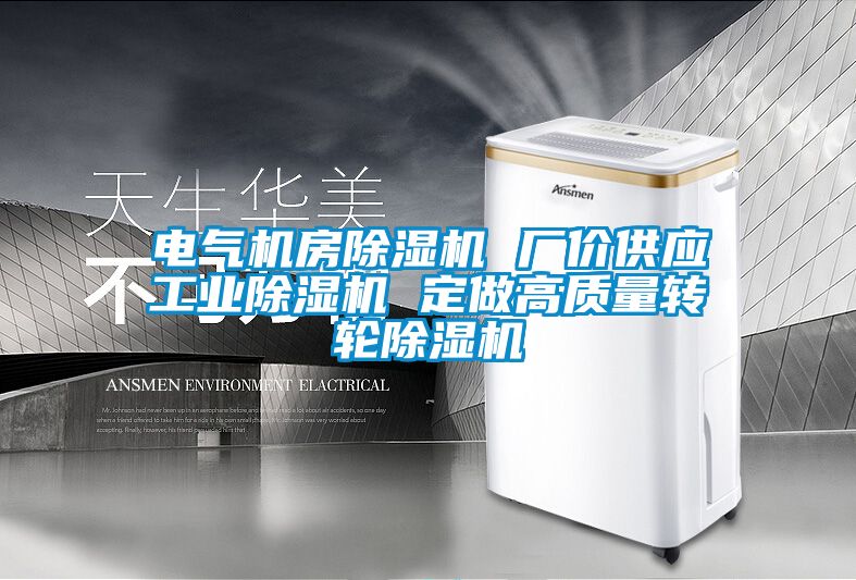 電氣機房除濕機 廠價供應(yīng)工業(yè)除濕機 定做高質(zhì)量轉(zhuǎn)輪除濕機