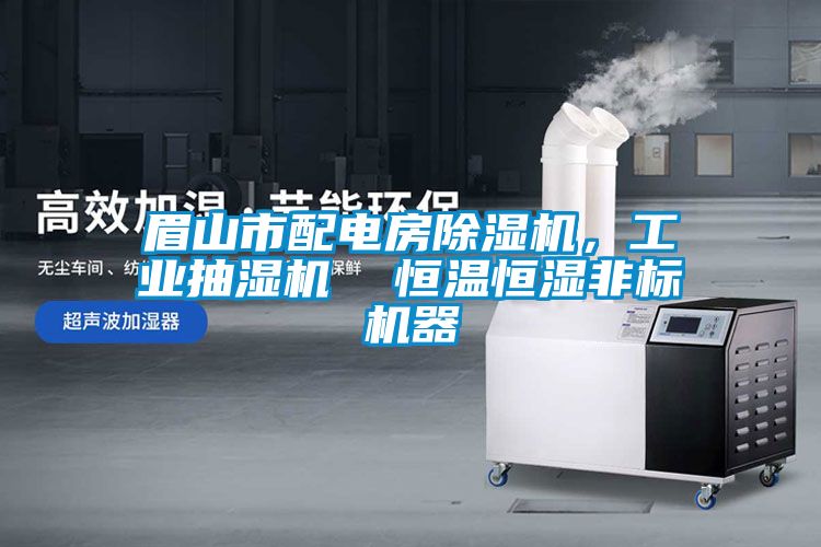 眉山市配電房除濕機(jī)，工業(yè)抽濕機(jī)  恒溫恒濕非標(biāo)機(jī)器
