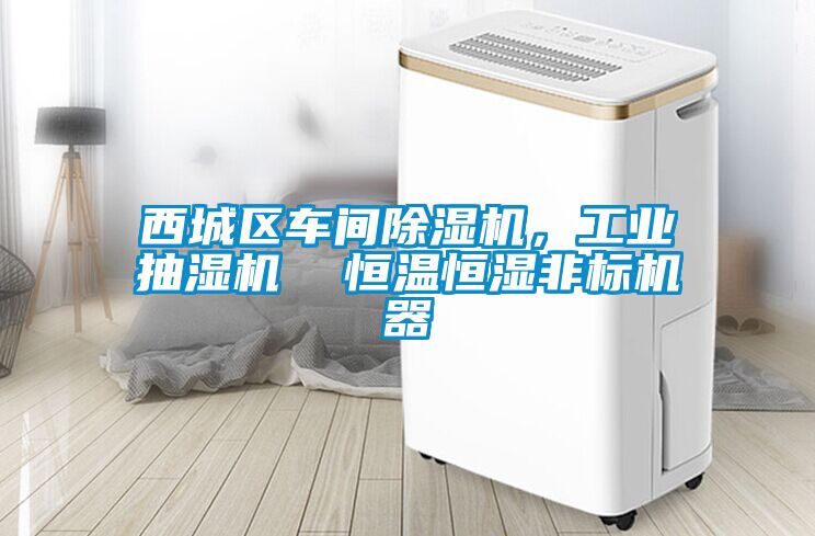 西城區(qū)車間除濕機，工業(yè)抽濕機  恒溫恒濕非標(biāo)機器