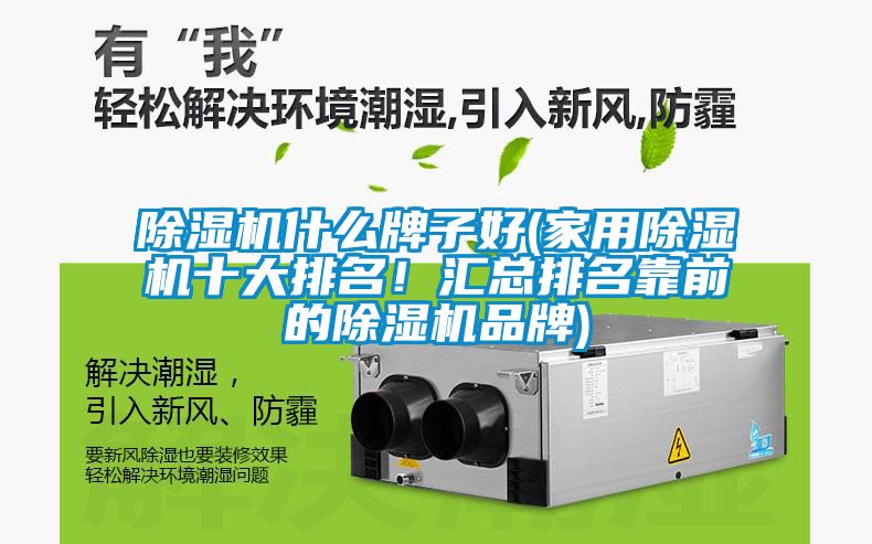 除濕機什么牌子好(家用除濕機十大排名！匯總排名靠前的除濕機品牌)