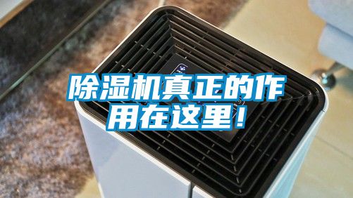 除濕機真正的作用在這里！