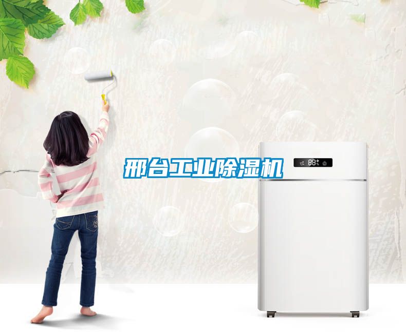 邢臺(tái)工業(yè)除濕機(jī)