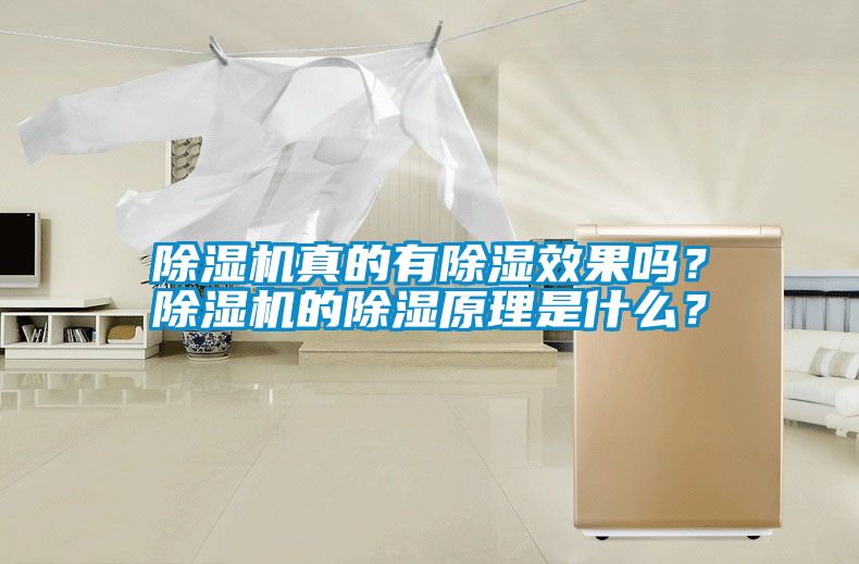 除濕機真的有除濕效果嗎？除濕機的除濕原理是什么？